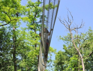  The bridges of the courses 
